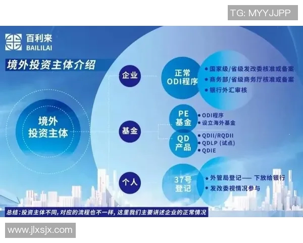 财务注册流程与合规要求全面解析及优化建议