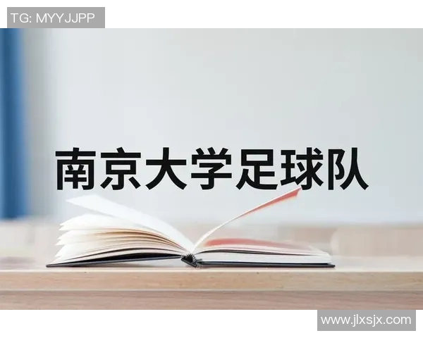 南京足球队挑战赛表现分析团队配合与战术执行的关键因素探讨 南京足球队挑战赛表现分析团队配合与战术执行的关键因素探讨